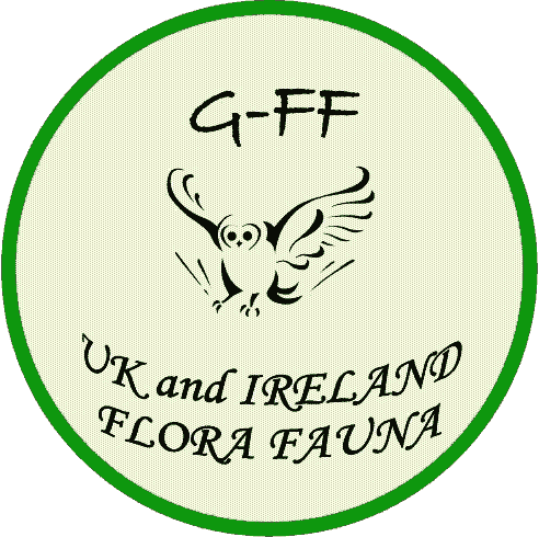 GFF_Logo