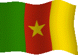 crbst_thumb_drapeau-cameroun-etoileb-10